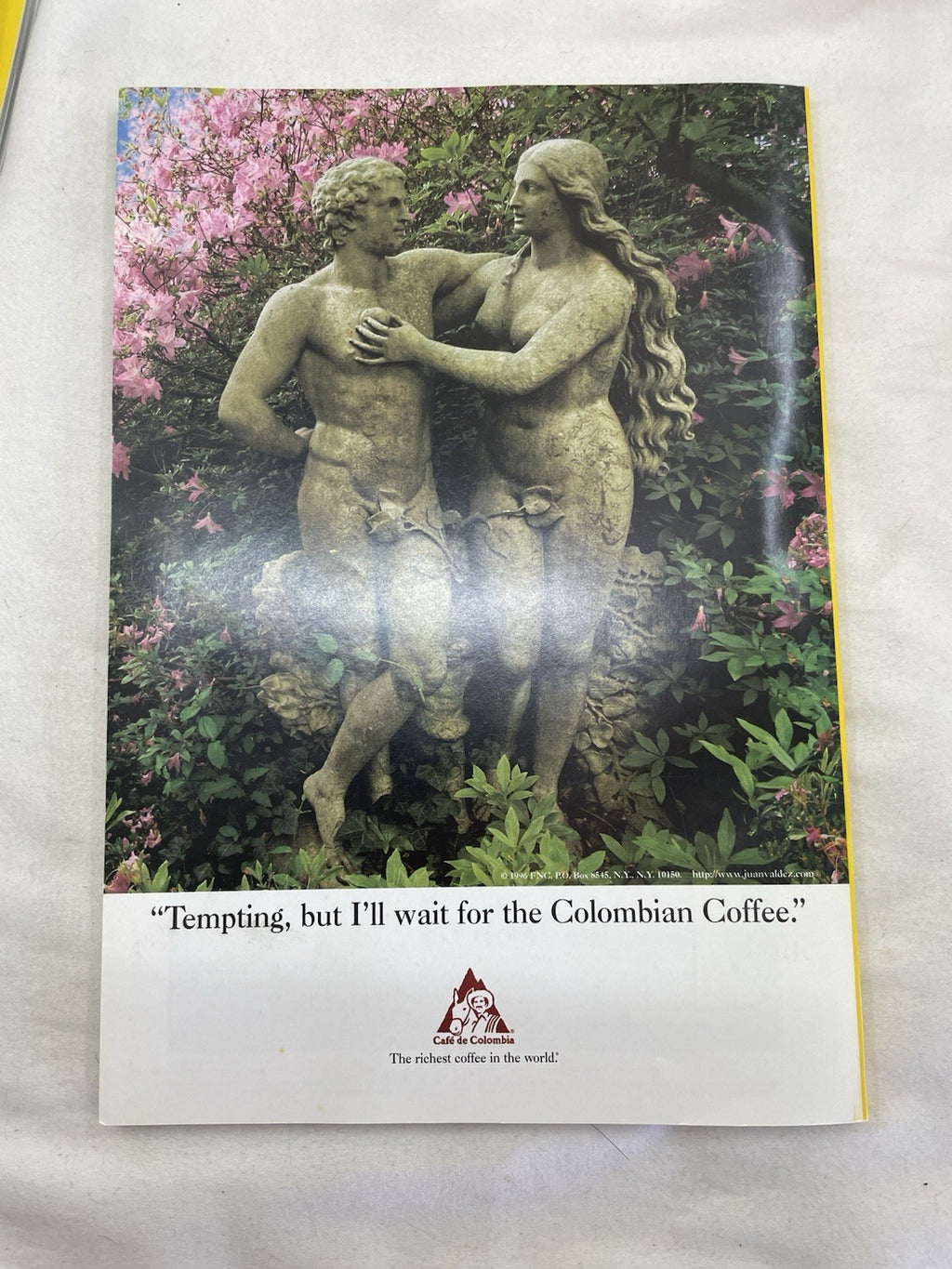 Vintage Nat Geo Jan–Jun 1998 Set w/ Slipcover | Wildlife, Photography