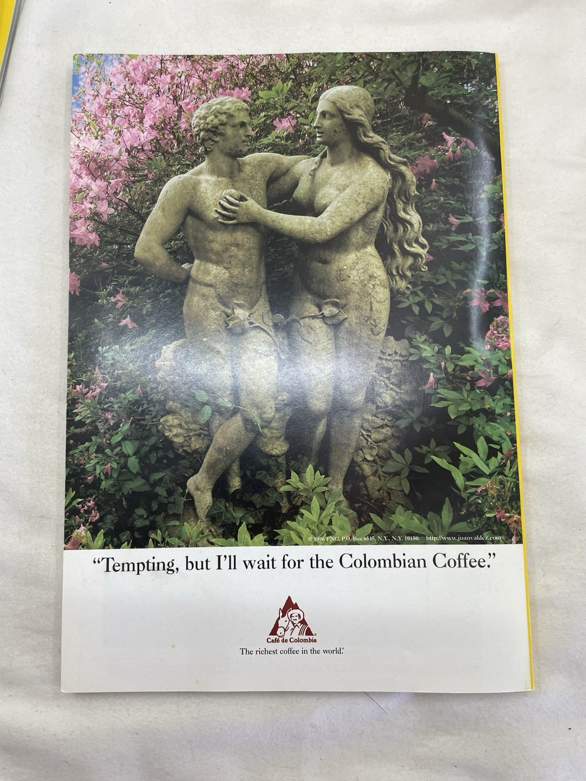 Vintage Nat Geo Jan–Jun 1998 Set w/ Slipcover | Wildlife, Photography