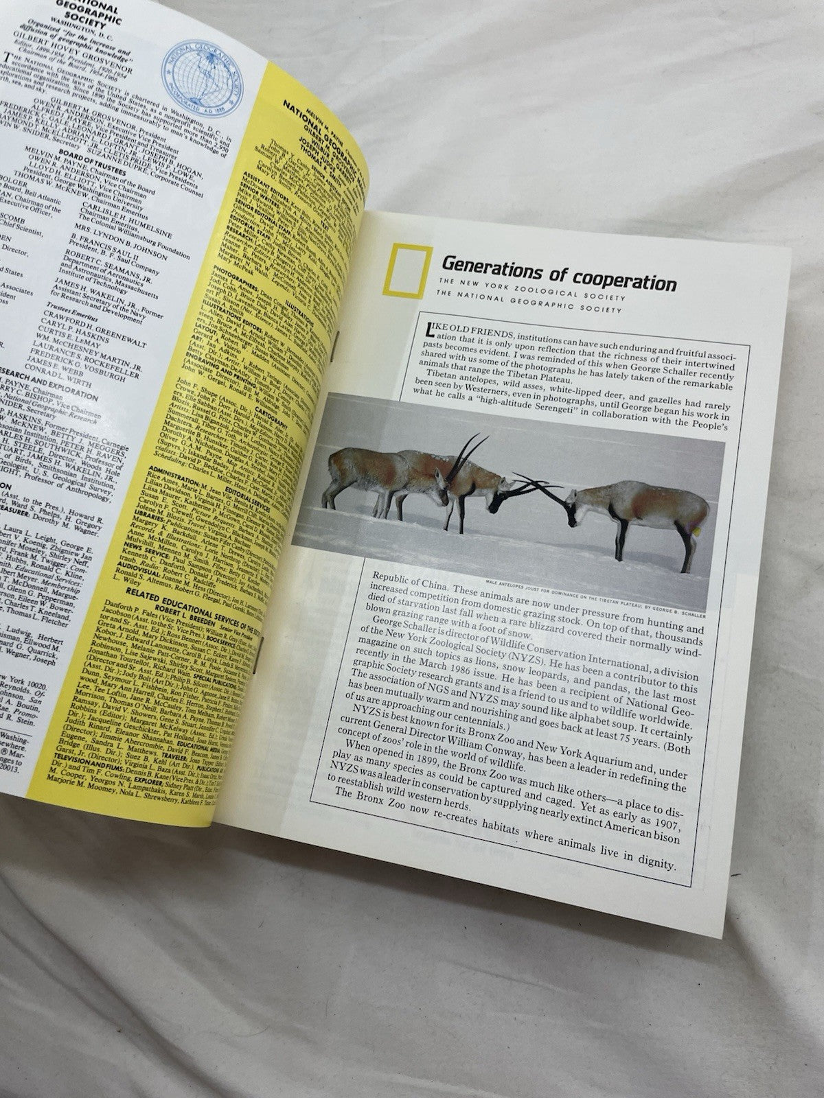 Nat Geo Mag Lot Jan–Jun 1986 Slipcvr Vtg Wildlife Travel History Photo