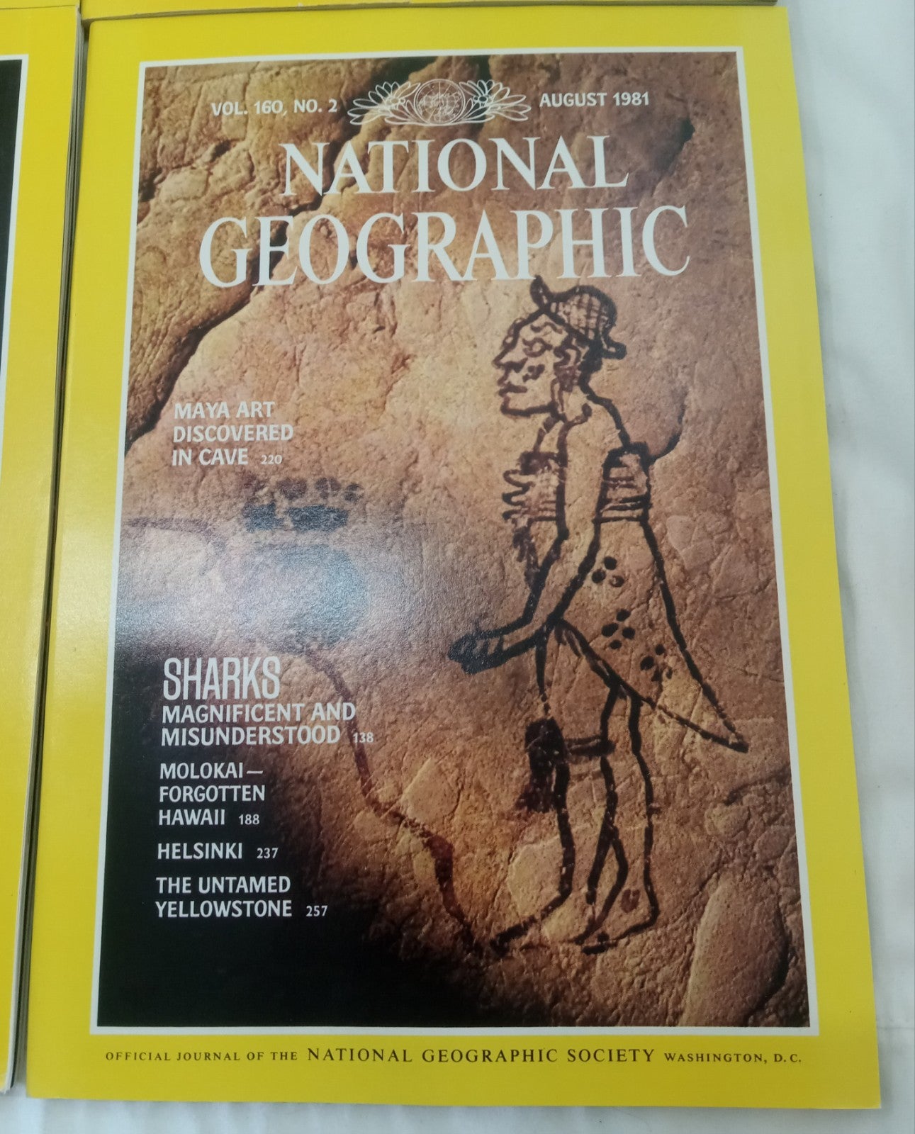 Nat Geo Magazines With Slipcover July To December 1981