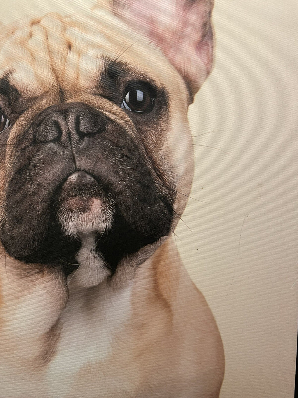 Framed Dog Picture on Canvas – Pet Lover's Wall Art Decor