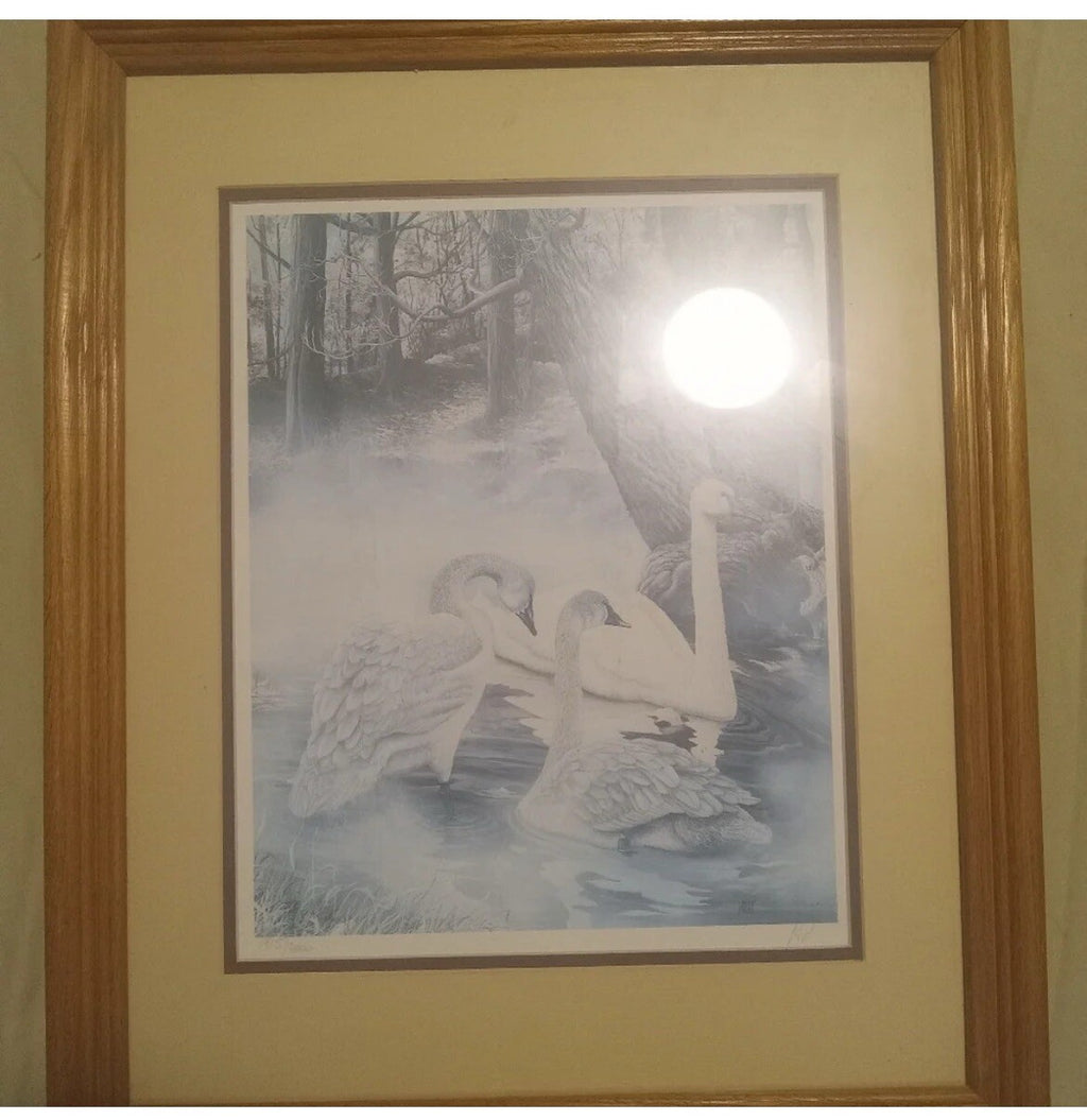 Wood Framed Signed Swan Woodland Scene Print – Rustic Nature Wall Art