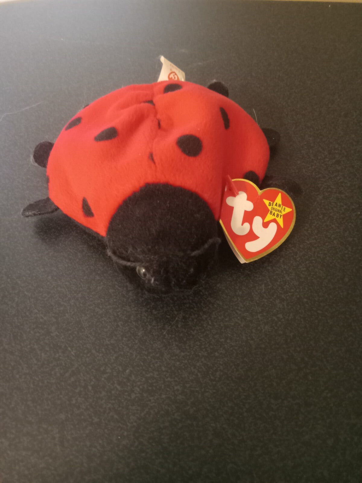 Ty Beanie Baby "Lucky" the Ladybug 1995 - DOB May 1 - 90s Toy