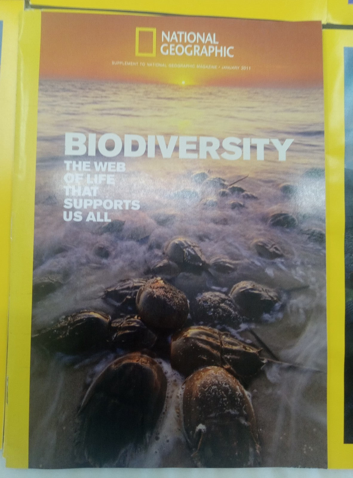 Nat Geo Magazines With Slipcover Jan To June 2011