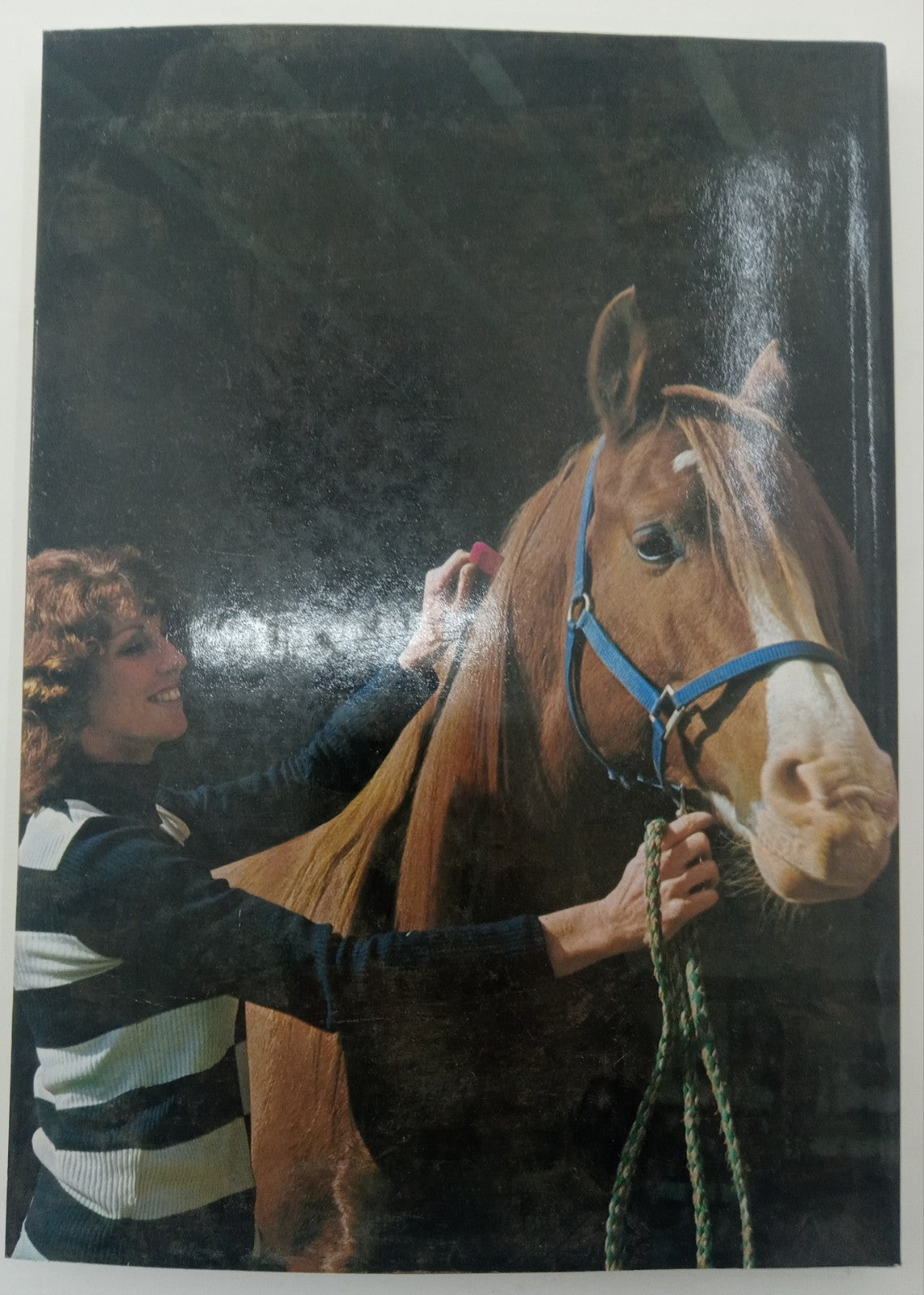 Guide to Riding & Horse Care by Elaine Knox-Thompson – VG+ Equestrian