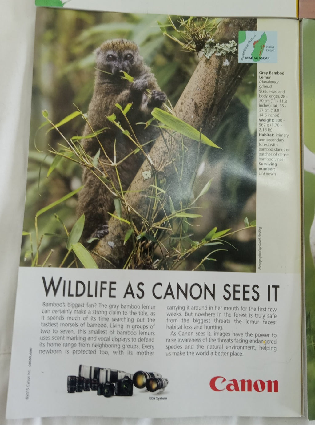 National Geographic Jul–Dec 2015 | 6 VG+ Issues | Leatherette Slipcase