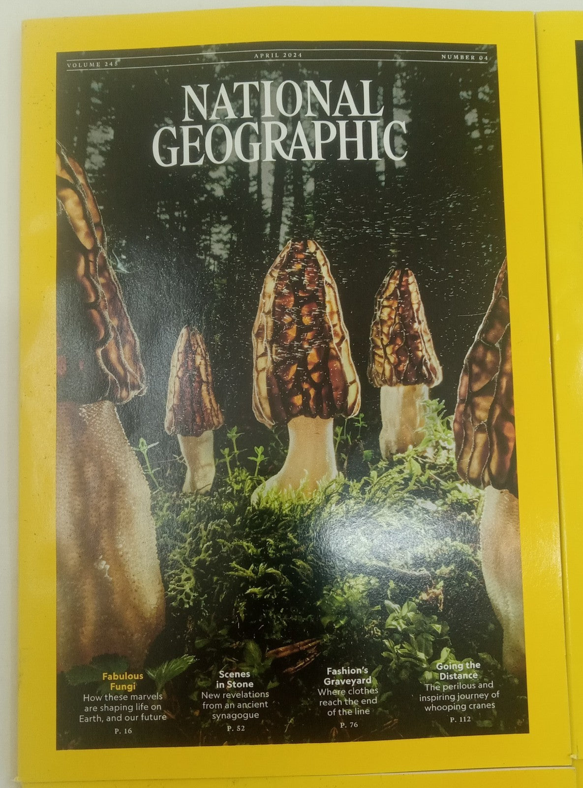 Nat Geo Magazine’s With Slipcover Jan To June 2024
