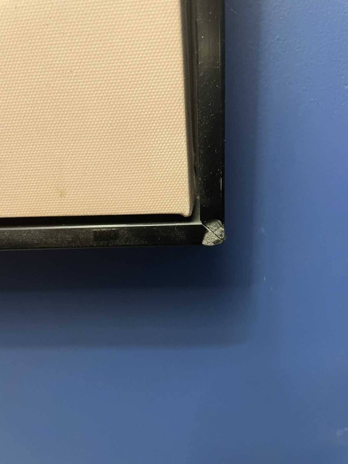 Framed Dog Picture on Canvas – Pet Lover's Wall Art Decor