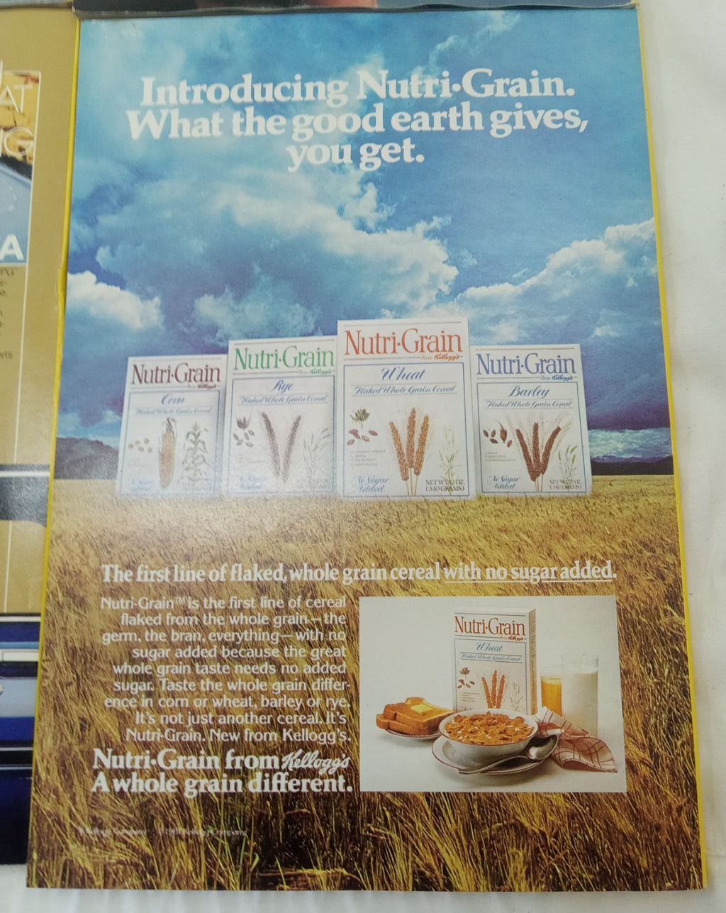 Nat Geo Magazines With Slipcover July To December 1981