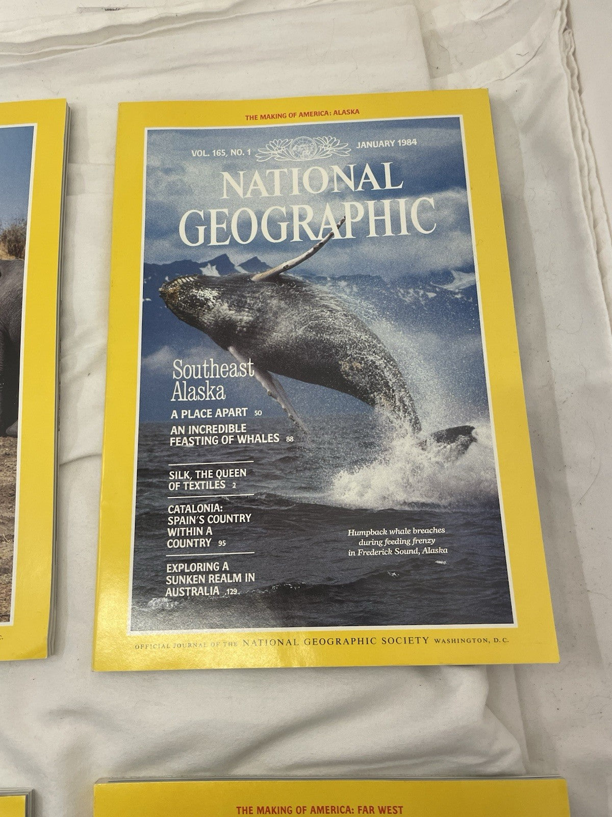 Nat Geo Mags Jan–Jun 1984 Vtg Wildlife Geo Nature Travel Decor Slipcvr