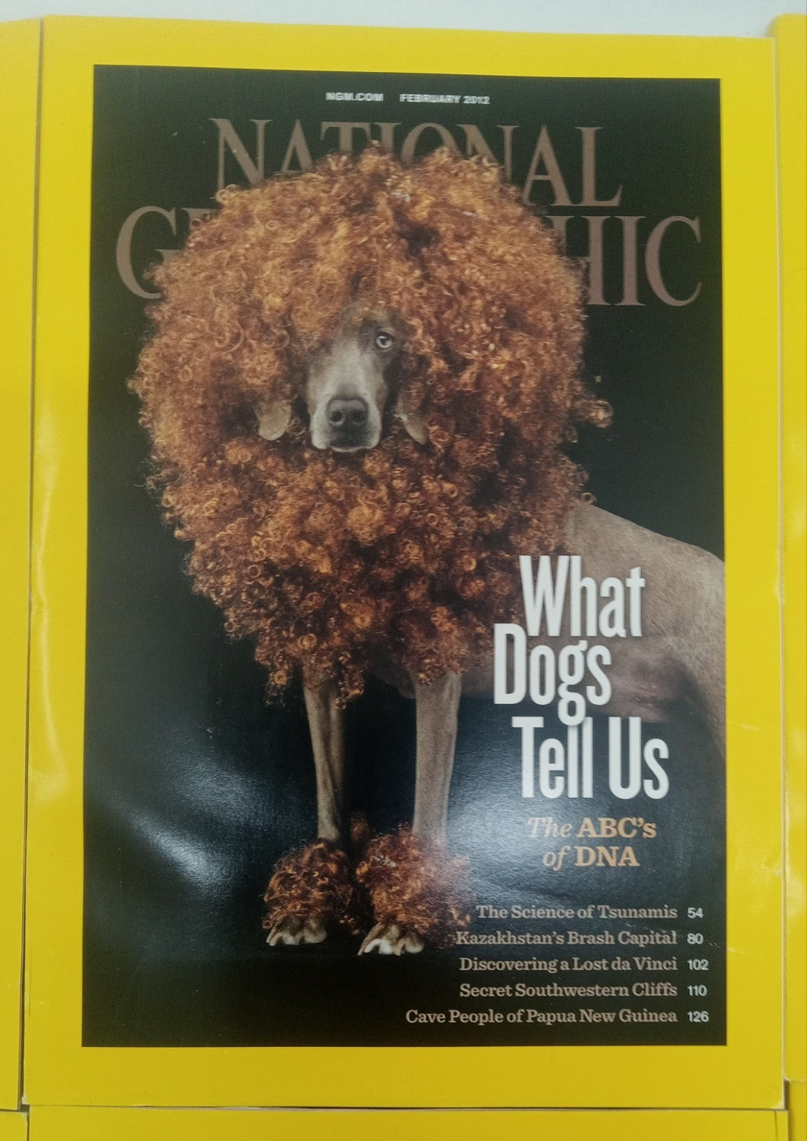 Nat Geo Magazine With Slipcover Jan To June 2012