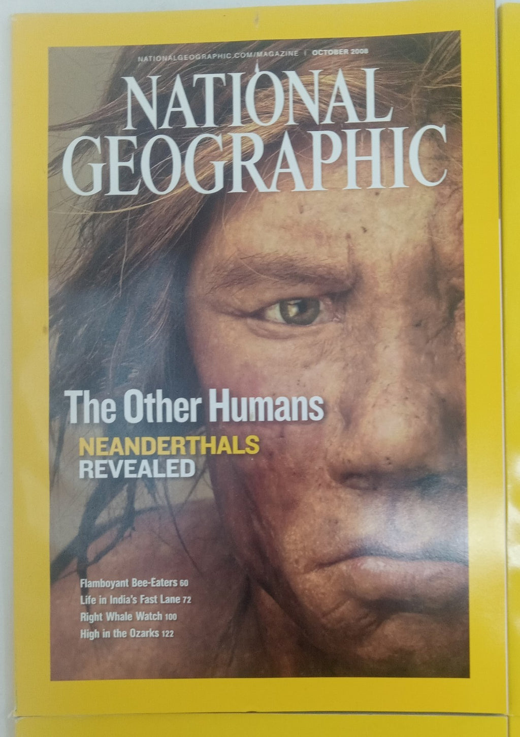 Nat Geo Magazines With Slipcover July To December 2008