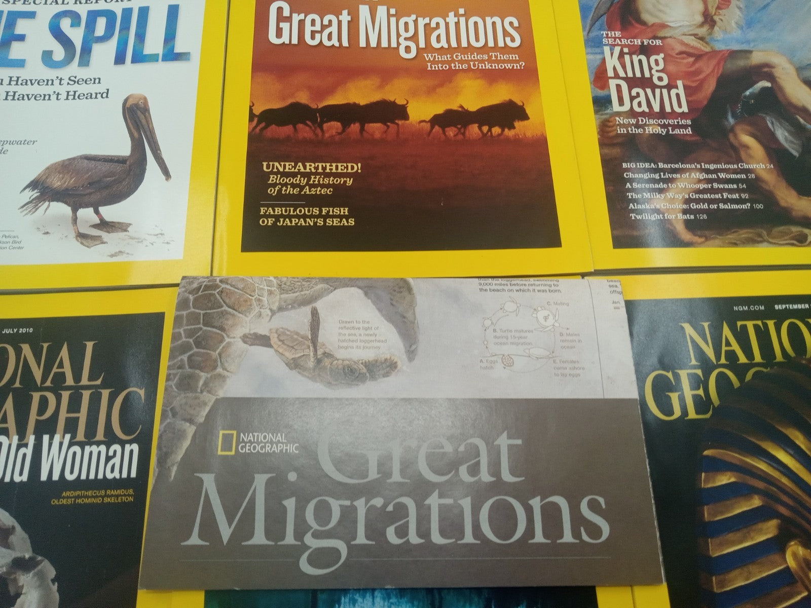 Nat Geo Magazines With Slipcover Jan To June 2010