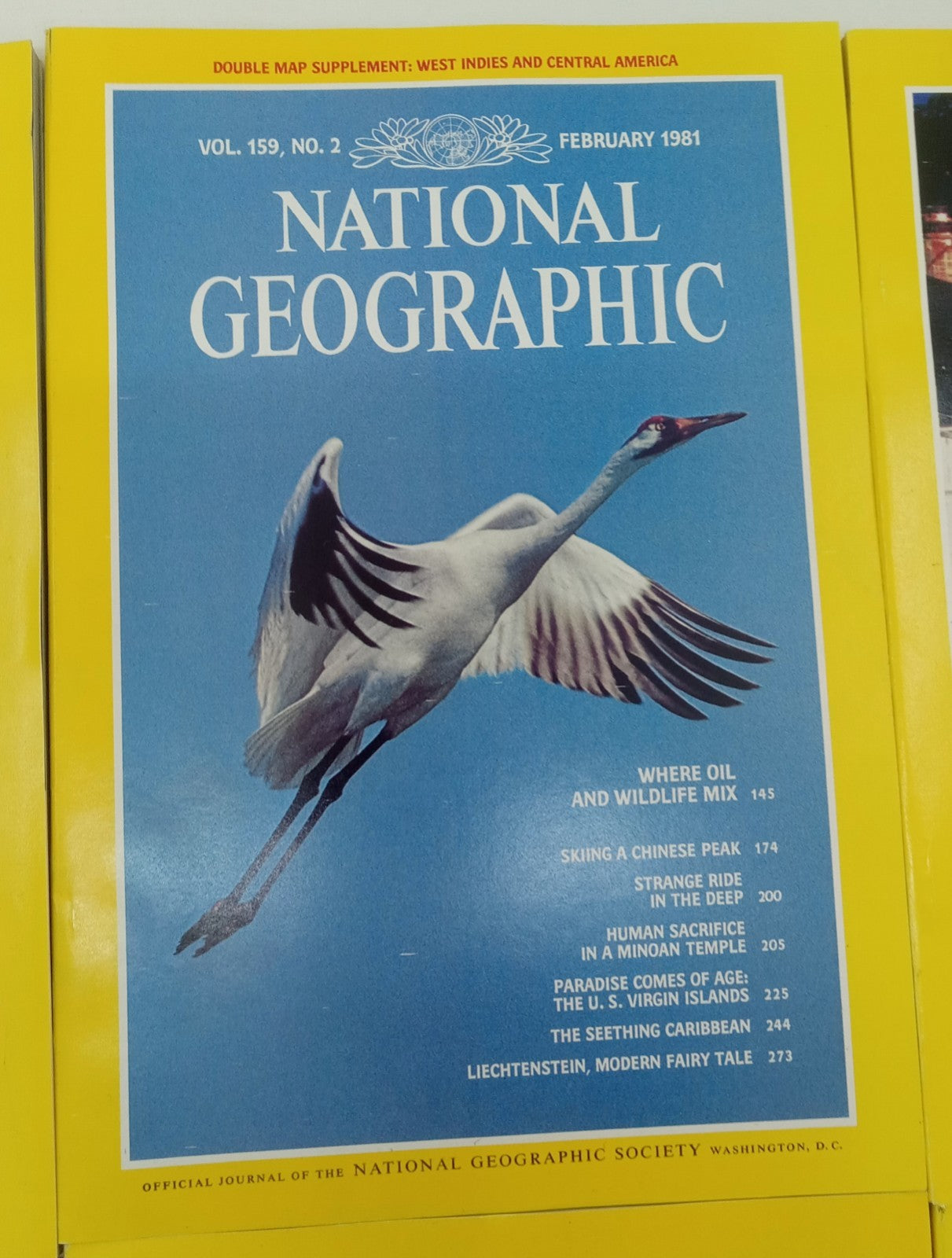 Nat Geo Jan–June 1981 VG+ | Vintage Magazine Set w/ Slipcase | 6 Issues
