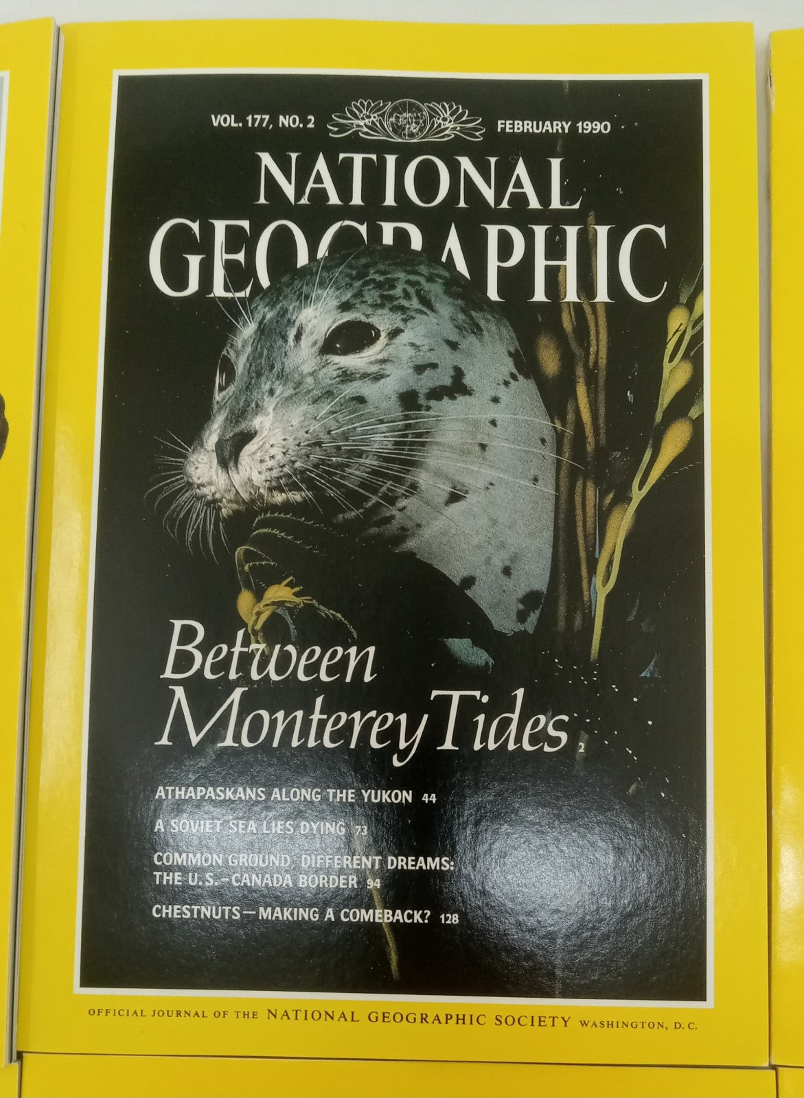 Nat Geo Magazines With Slipcover Jan To June 1990