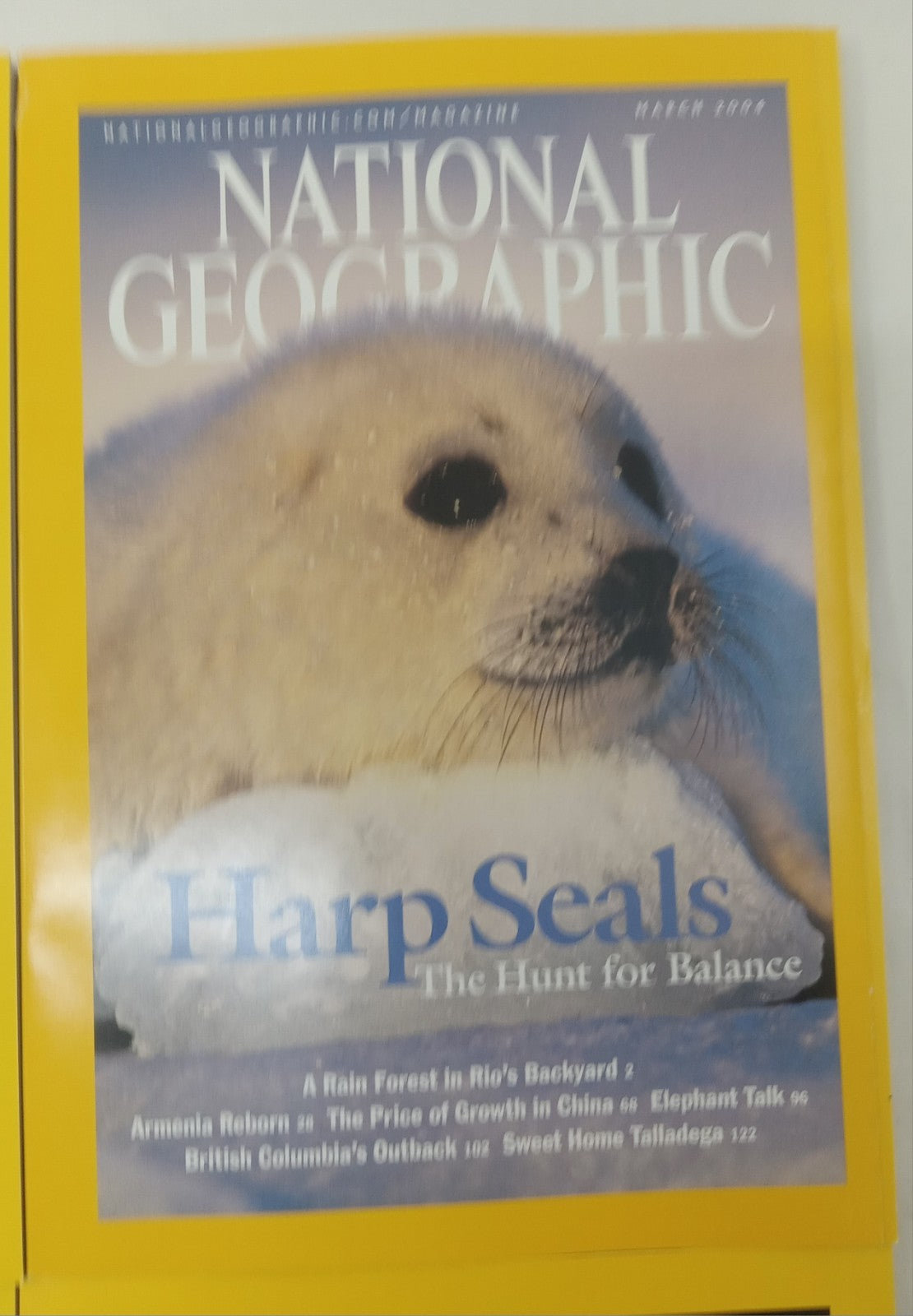 Nat Geo Jan–June 2004 | VG+ Magazine Set | Leatherette Slipcover | 6 Iss.