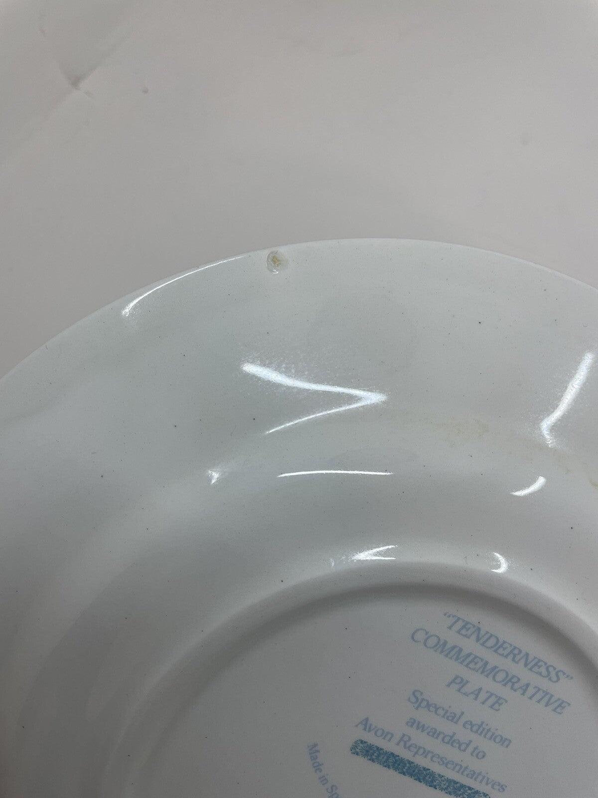 1974 Avon Pontesa Tenderness Plate Ironstone Rare Collectors Vintage Floral