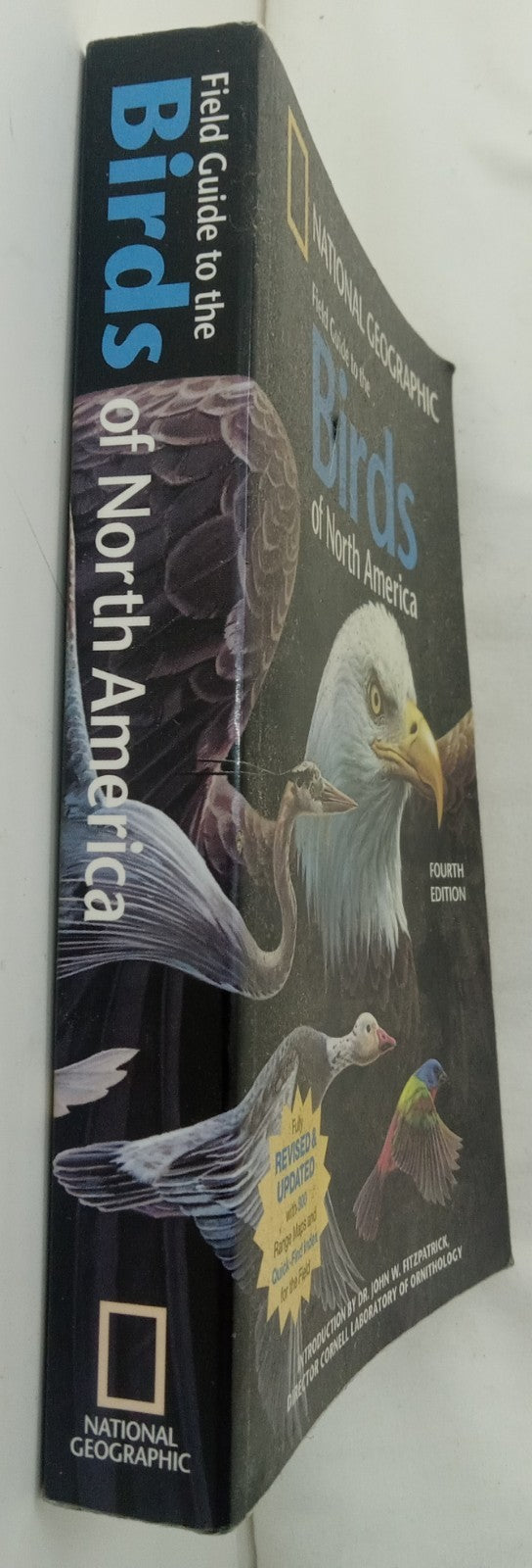 National Geographic Bird Of North America Field Guide Bird Watching Manual