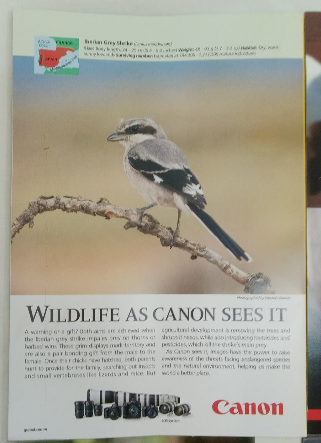 National Geographic Magazine Set Of 6 Magazines July-Dec 2020