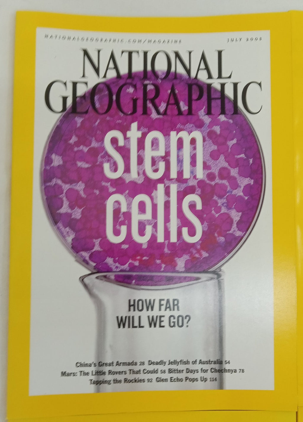 National Geographic Jul–Dec 2005 | VG+ | Faux Leather Case | 6 Magazines