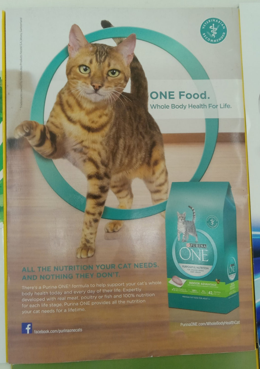 National Geographic Jul–Dec 2015 | 6 VG+ Issues | Leatherette Slipcase