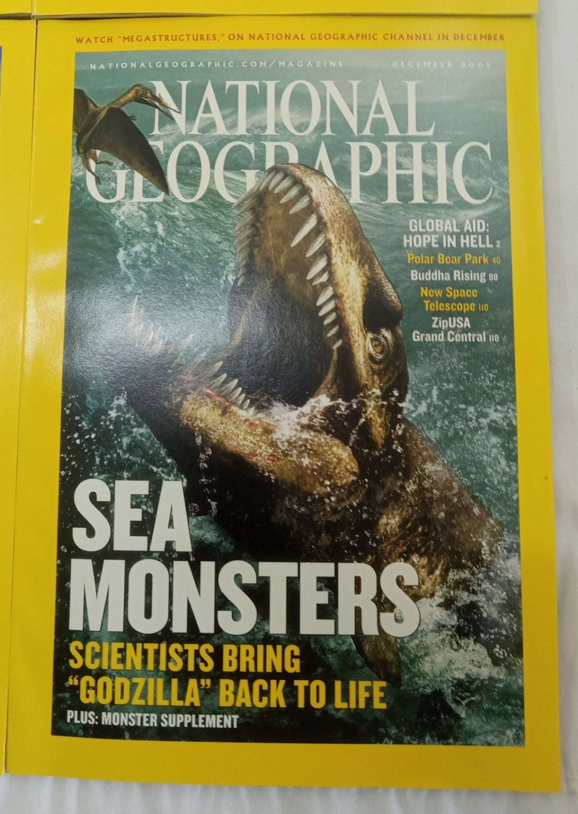 National Geographic Jul–Dec 2005 | VG+ | Faux Leather Case | 6 Magazines