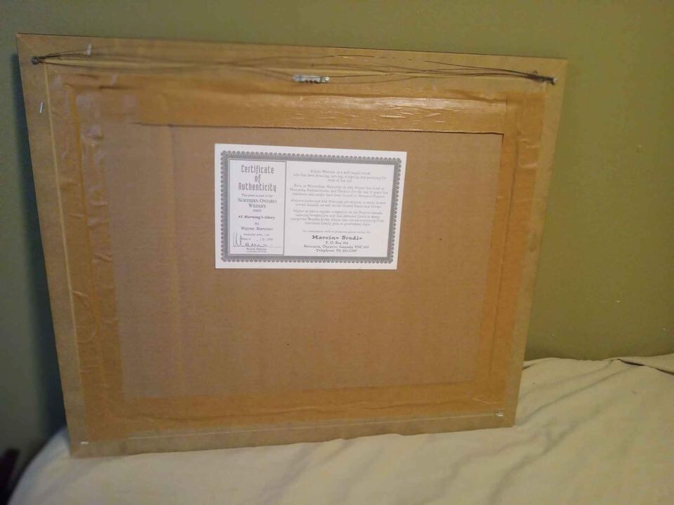 Limited Edition Framed Print – “Morning Glory” by Wayne Marcino Numbered