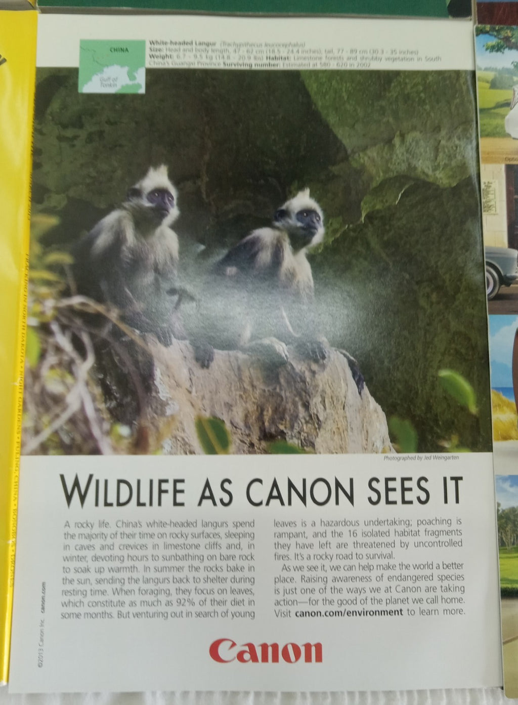 Nat Geo Jan–June 2013 Set | VG+ Magazines w/ Faux Leather Slipcover