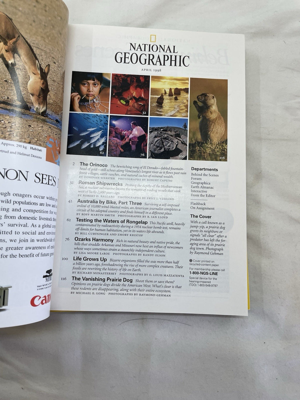 Vintage Nat Geo Jan–Jun 1998 Set w/ Slipcover | Wildlife, Photography