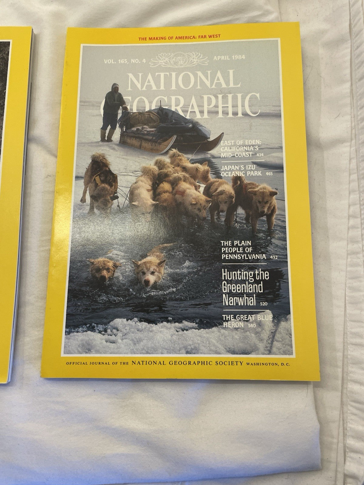 Nat Geo Mags Jan–Jun 1984 Vtg Wildlife Geo Nature Travel Decor Slipcvr