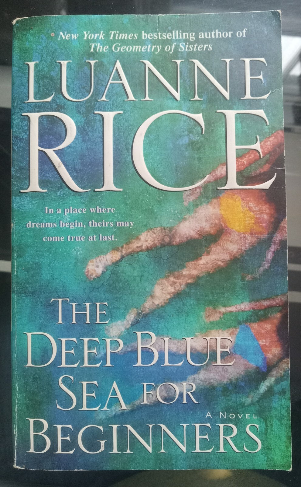 The Deep Blue Sea for Beginners Luanne Rice PB Women’s Fiction Book