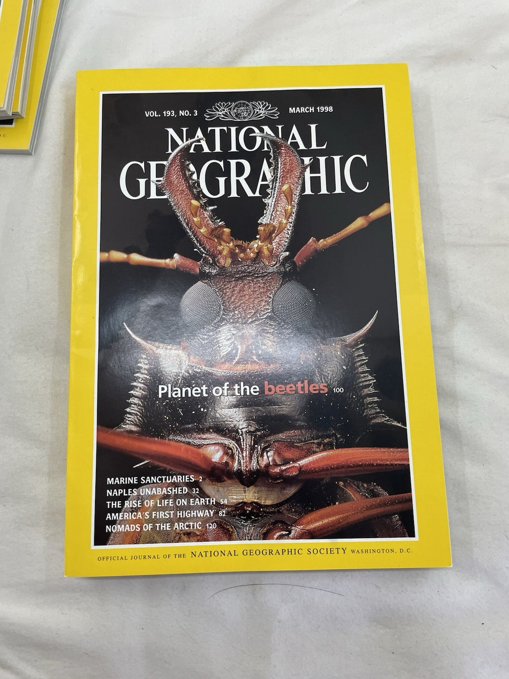 Vintage Nat Geo Jan–Jun 1998 Set w/ Slipcover | Wildlife, Photography