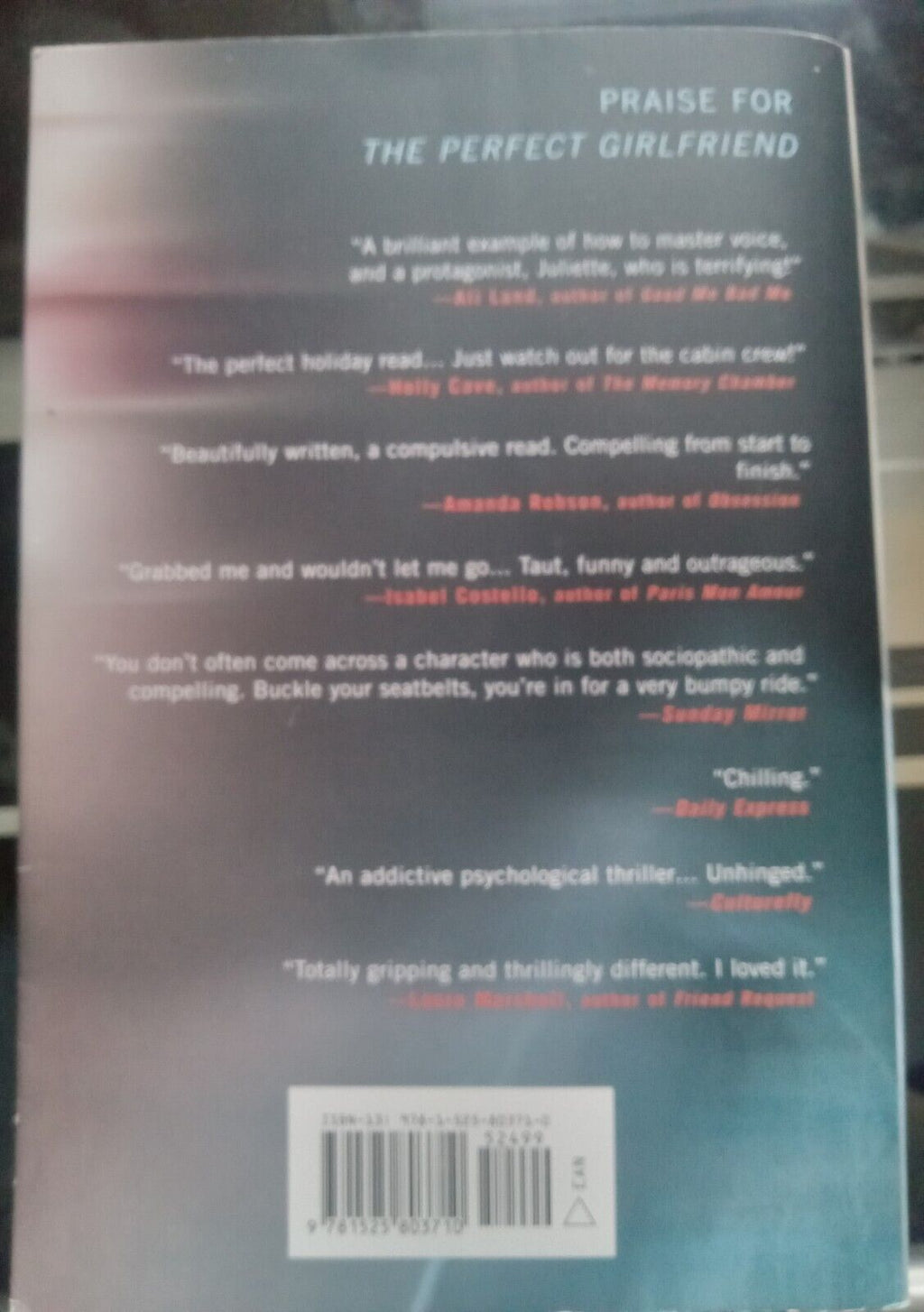 The Perfect Girlfriend by Karen Hamilton – Paperback VG